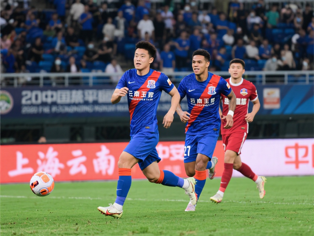 的诸多困境 的诸多困境